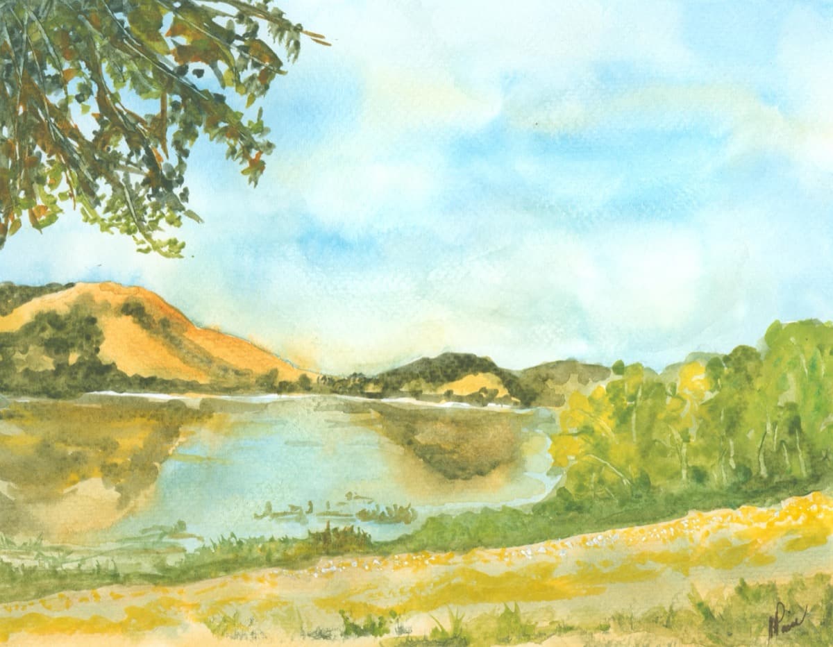 Reflections — watercolor by Nikki Paris