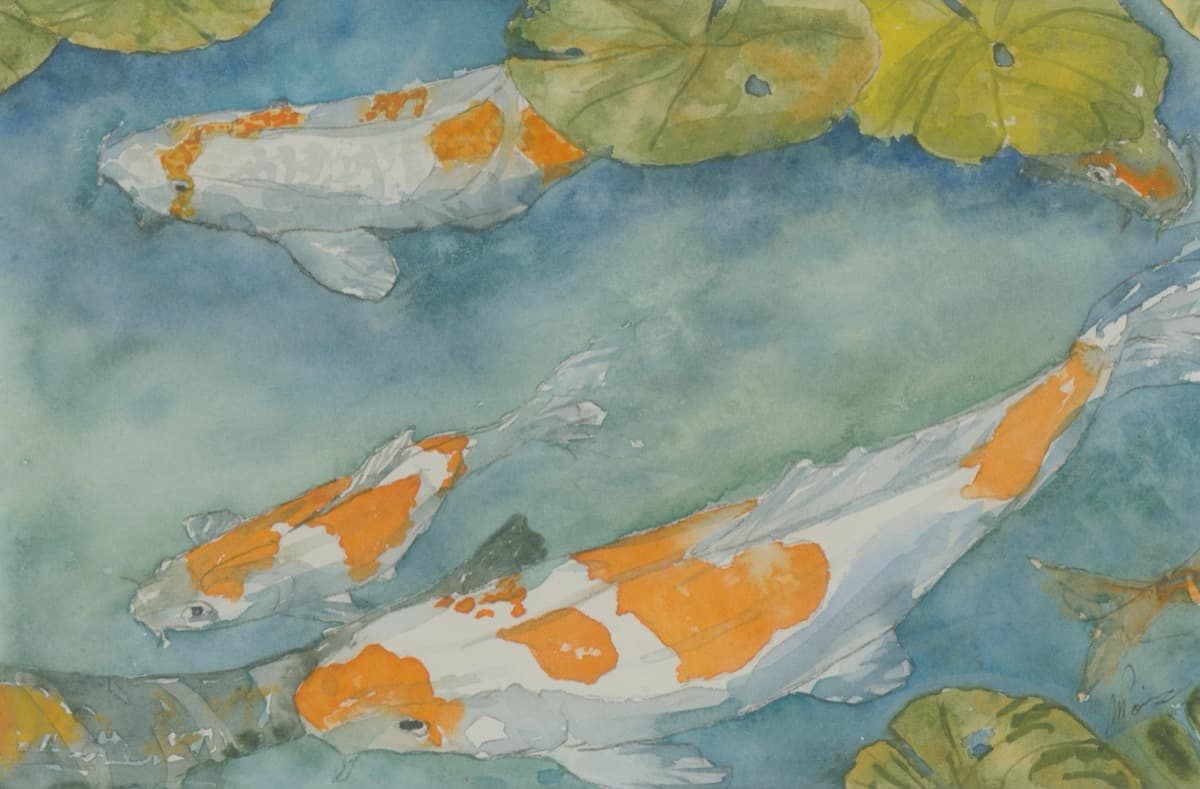 Tea Garden Koi — watercolor by Nikki Paris