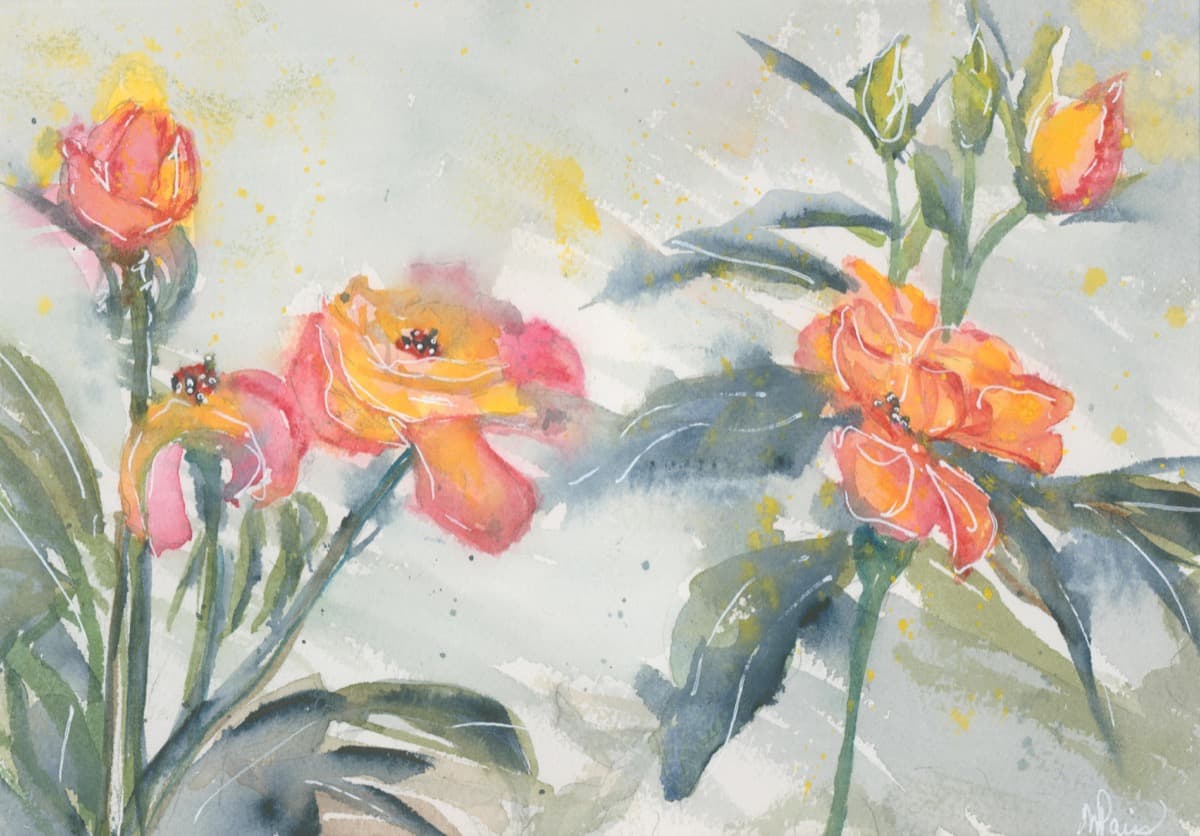 Winter Roses — watercolor by Nikki Paris